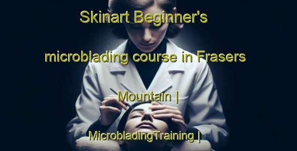 Skinart Beginner's microblading course in Frasers Mountain | MicrobladingTraining | MicrobladingClasses | SkinartTraining-Canada